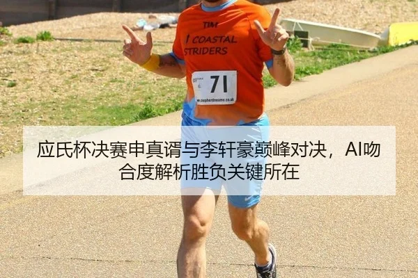 应氏杯决赛申真谞与李轩豪巅峰对决，AI吻合度解析胜负关键所在