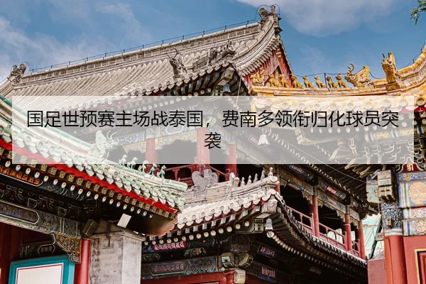 guo-zu-shi-yu-sai-zhu-chang-zhan-tai-guo-fei-nan-duo-ling-xian-gui-hua-qiu-yuan-tu-xi-2-565.jpg