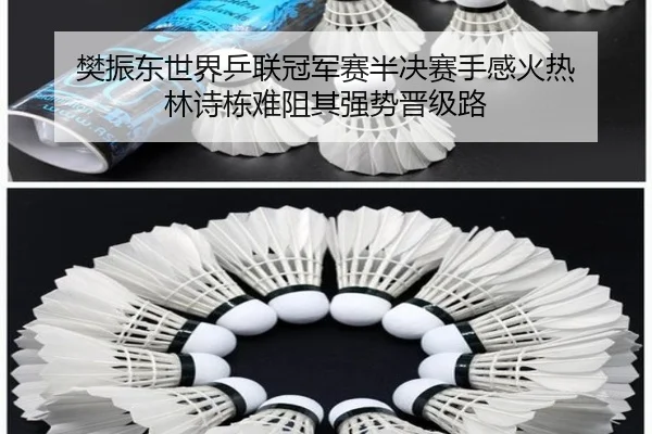 fan-zhen-dong-shi-jie-ping-lian-guan-jun-sai-ban-jue-sai-shou-gan-huo-re-lin-shi-dong-nan-zu-qi-qiang-shi-jin-ji-lu-3-752.jpg
