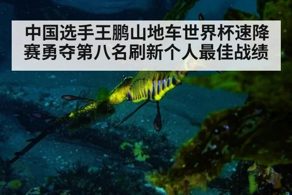 中国选手王鹏山地车世界杯速降赛勇夺第八名刷新个人最佳战绩
